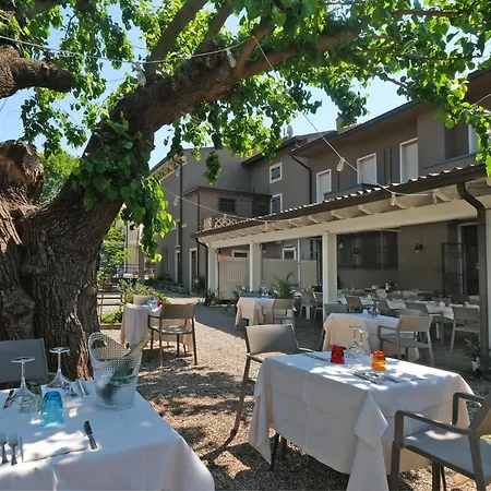 Gelmini Verona
